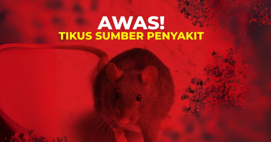 Komitmen Kurato dalam Melindungi Keluarga Indonesia dari Ancaman Tikus